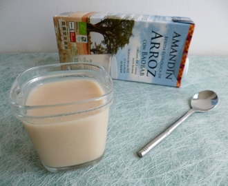 yaourts végétaux maison au riz et à la pulpe de baobab (sans sucre)