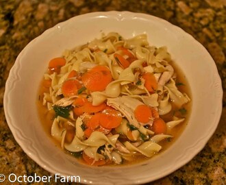 The Best Chicken Noodle Soup You Will Ever Eat