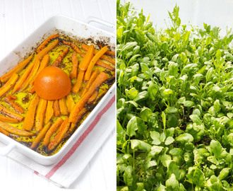Ensalada de zanahorias asadas con naranja, espinacas y ricotta