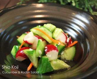 邀稿。鹽麴黃瓜櫻桃蘿蔔漬 Shio Koji Cucumber & Radish Salad