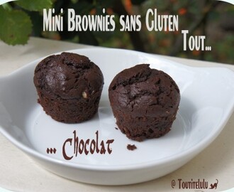 Mini Brownies tout chocolat sans gluten, sans lactose, sans caséine
