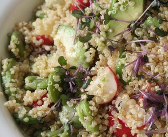 Salade van quinoa, tuinbonen, radijs en avocado