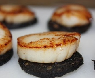 Scallops and black pudding