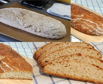 Patnáctý chléb – pšeničnožitný piváček gambáček