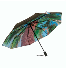 Paradise Interior umbrella