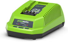 Greenworks oplader med VDE 40 V 2A