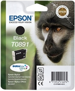 Epson T0891 Black - C13T08914011