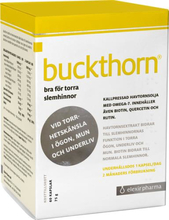 Buckthorn, 60 st