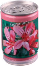 Säilykepurkkikasvit Geranium