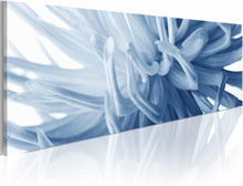 ARTGEIST Flover petals billede - blå/hvid canvas print (40x120)