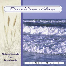 Ocean Waves at Dawn - Fønix Musik - Naturlyde