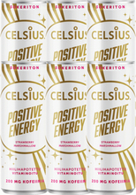 Celsius Positive Energy 6kpl