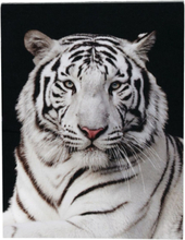 Tiger en minianteckningsbok.