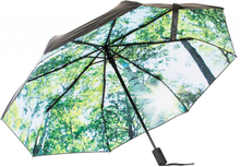 Paraply Skog