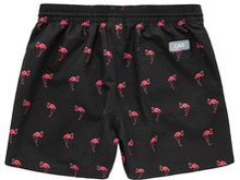 Black Flamingo Swim Trunks