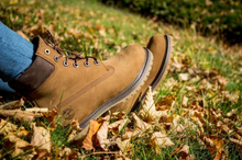 Timberland 6 In Premium Boot W, Kvinde, Vinterstøvler, brun