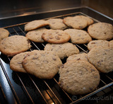 cookies med havregryn