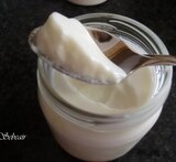yogurtera moulinex