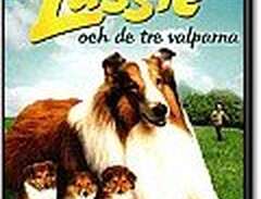 Lassie och de tre valparna