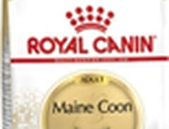 Kattmat Royal Canin Adult M...