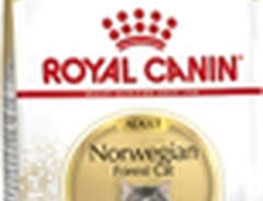 Kattmat Royal Canin Adult N...