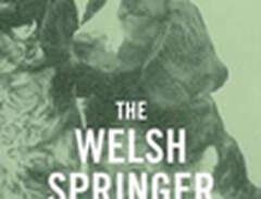 The Welsh Springer Spaniel...
