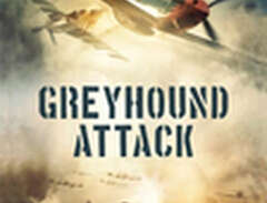 Greyhound attack