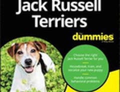 Jack Russell Terriers For D...
