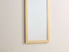 ENVY spegel 40x80 cm Guld
