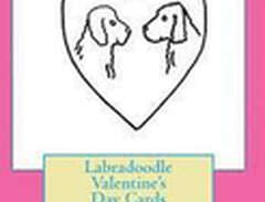 Labradoodle Valentine's Day...