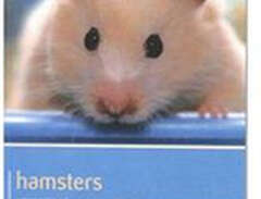 Hamster - Pet Friendly