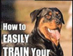 Rottweiler Training, Dog Tr...