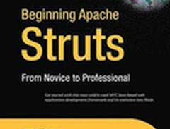 Beginning Apache Struts (Wi...