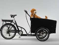 Cargobike Dog Electric Hydr...
