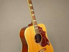 Gibson Hummingbird Natural...