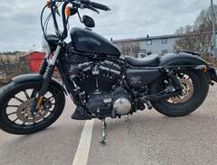 Harley-Davidson Iron 883 88...