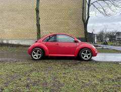 Volkswagen New Beetle . Ev...