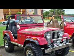 Jeep CJ 5 Willys -70 till -...