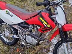 Honda xr80