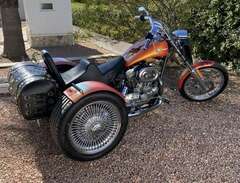 Trike Harley Davidson