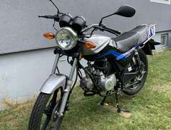 Moped WS50 Router