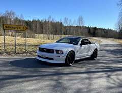 Ford Mustang GT 05