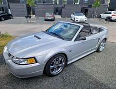 Ford Mustang GT Cab V8