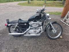 Harley Davidson sportster 883