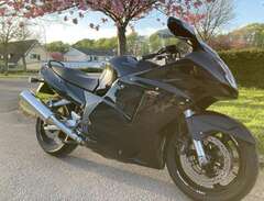 Honda CBR1100XX Blackbird