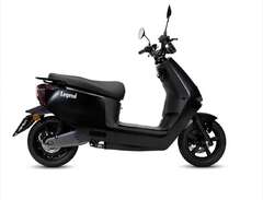 NYY!! Drax legend moped kla...