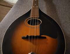 levin mandolin