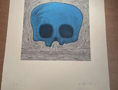 Jan Håfström ”Blue Skull”
