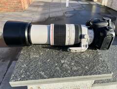 Canon EF 100-400mm f/4,5-5,...