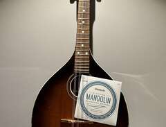 Mandolin , Levin mod345 1947